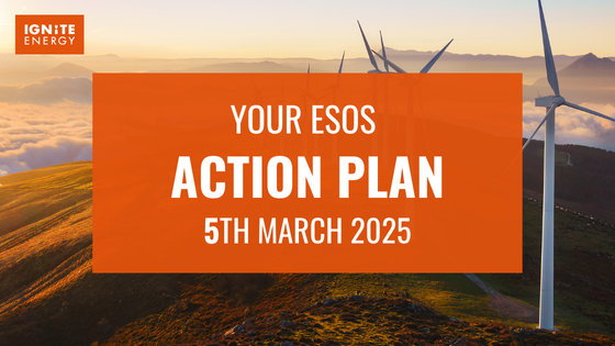 ESOS Action Plan 5th March 2025